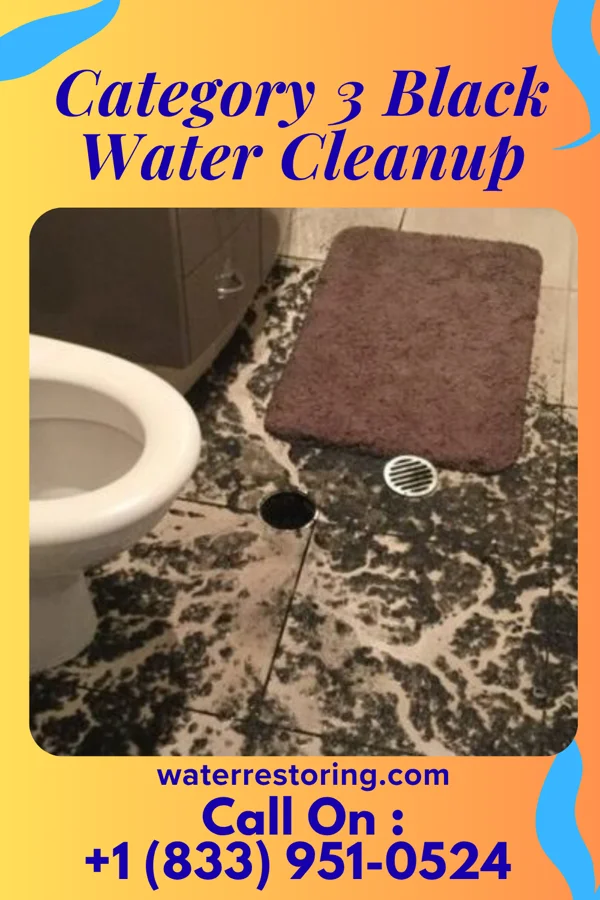 Category 3 Black Water Cleanup in Sanatoga, PA