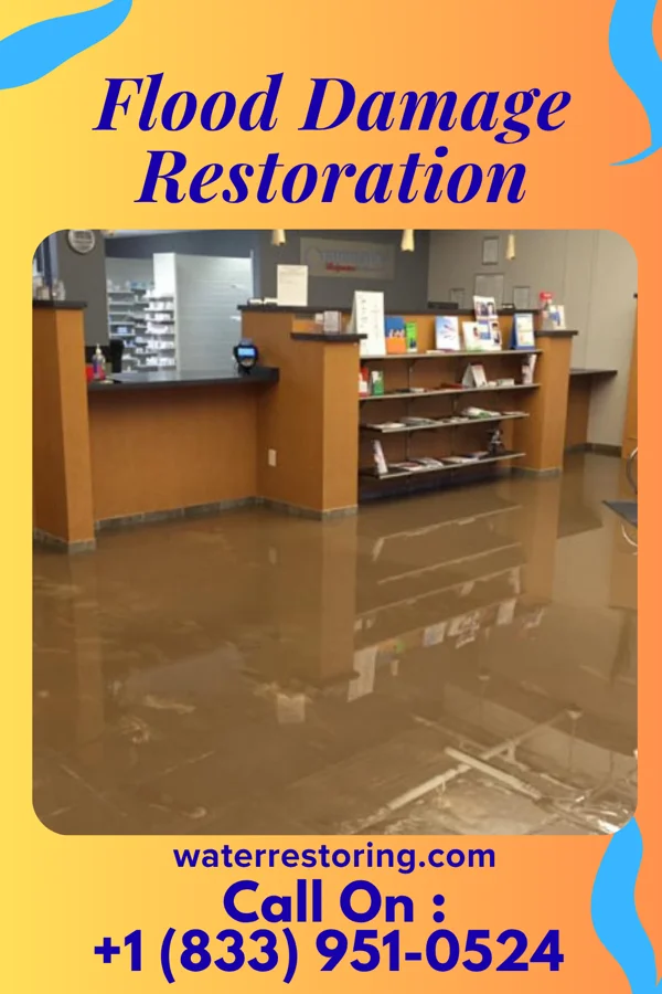 Flood Damage Restoration in Sanatoga, PA