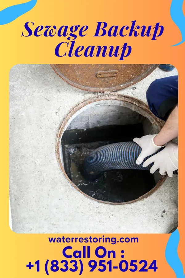 Sewage Backup Cleanup in Sanatoga, PA