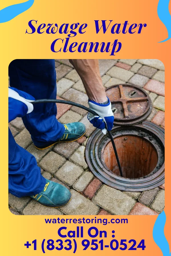 Sewage Water Cleanup in Sanatoga, PA